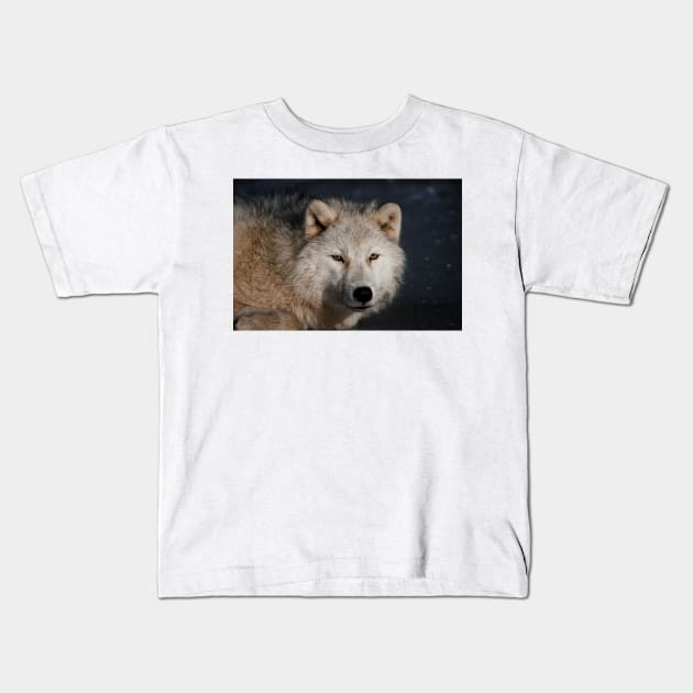 Arctic wolf Kids T-Shirt by jaydee1400